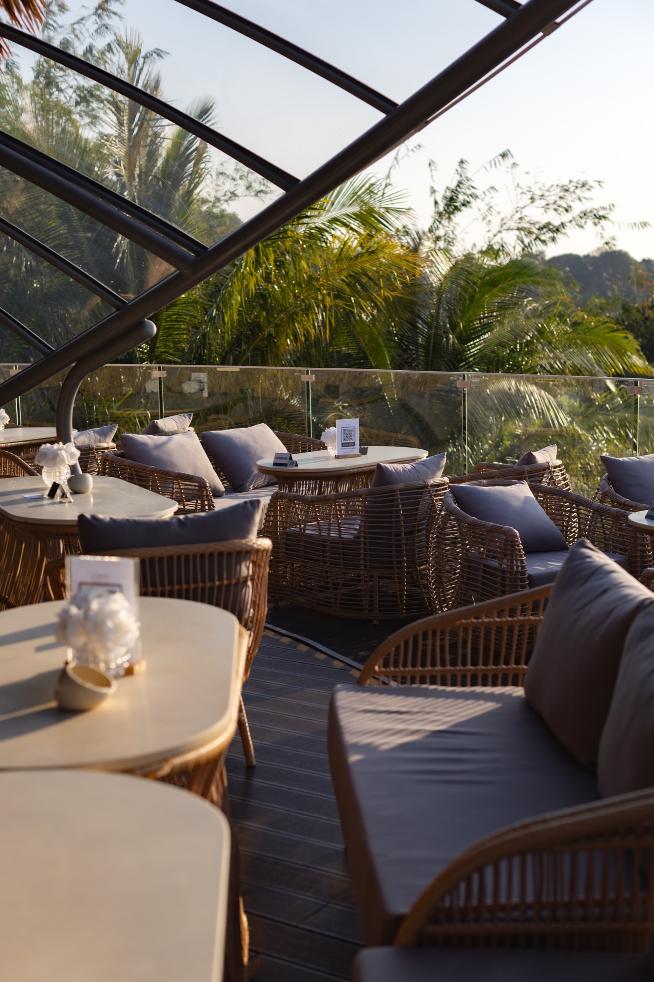 Golden Hour Brunch at Tree Bay